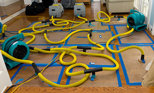 Professional Crawl Space Water Removal technician working in Albion, NY